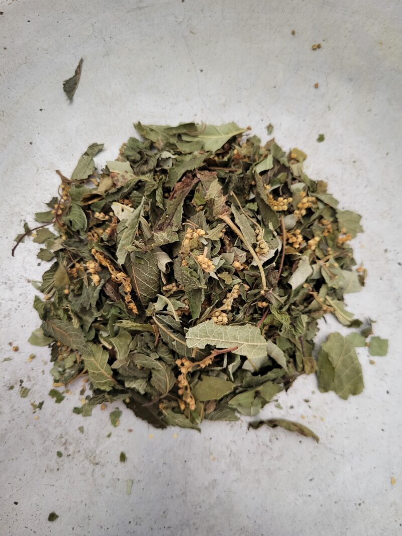 Centenaire vrac Tisane Centenaire