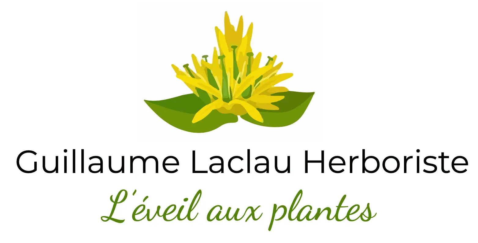 boutique.guillaumelaclau.com