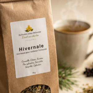 tisane hivernale - Guillaume laclau - herboriste